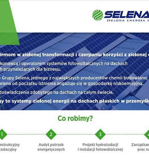 Selena zielona energia dla biznesu infografika Selena